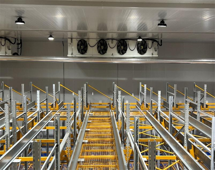 酒店冷庫工程解決方案